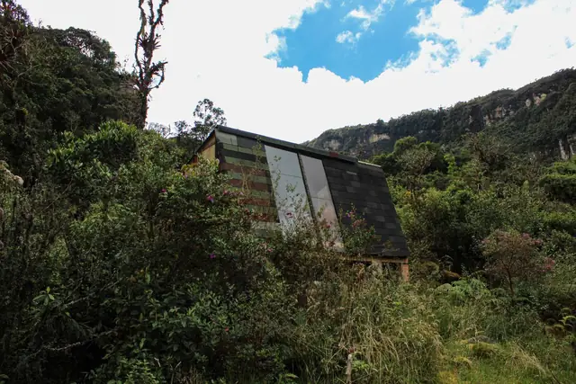 Cabin Niebla