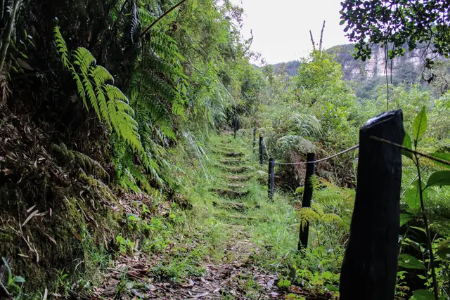Path to the camp